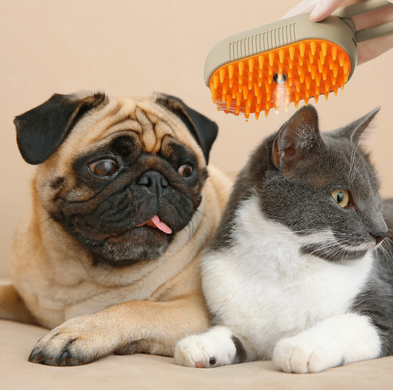 VapoBrosse 3 en 1 pour chien et chat