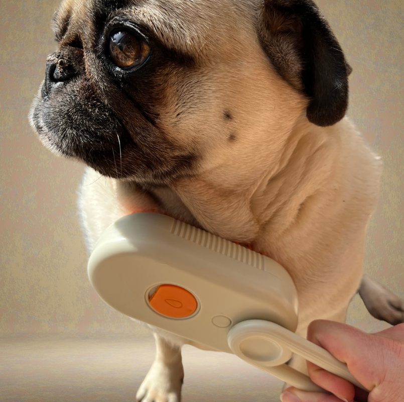 VapoBrosse 3 en 1 pour chien et chat