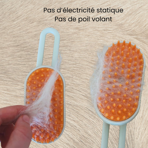 VapoBrosse 3 en 1 pour chien et chat