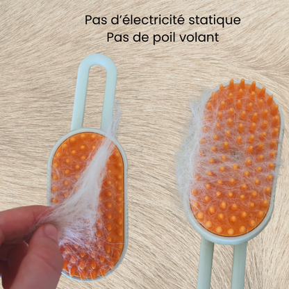VapoBrosse 3 en 1 pour chien et chat